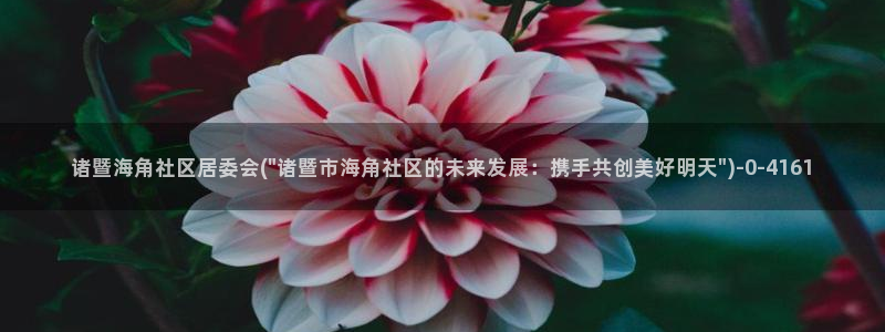 网络海角社区：诸暨海角社区居委会(\