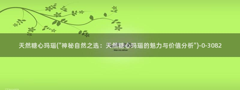 心糖vlog记录