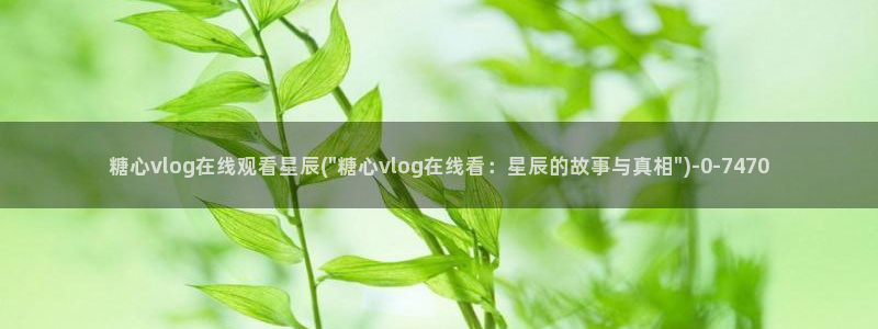 糖心vlog 免费观看