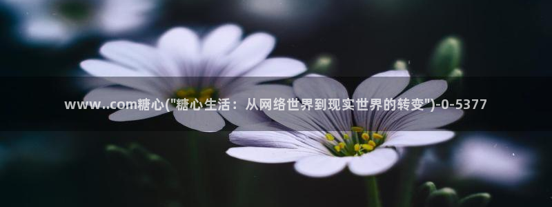 糖心vlog无限次数版