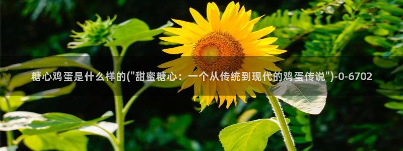 糖心vlog日常