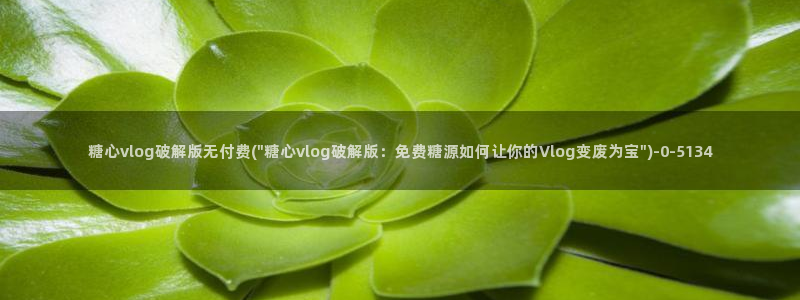 糖心vlog 网页版下载安装