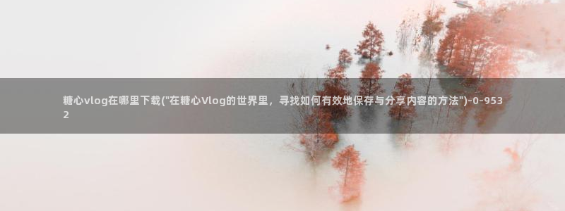 糖心vlog官网入口ios