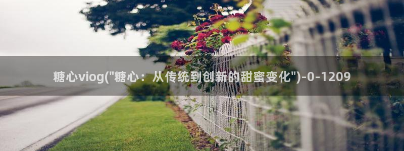 糖心vlog破解版官网