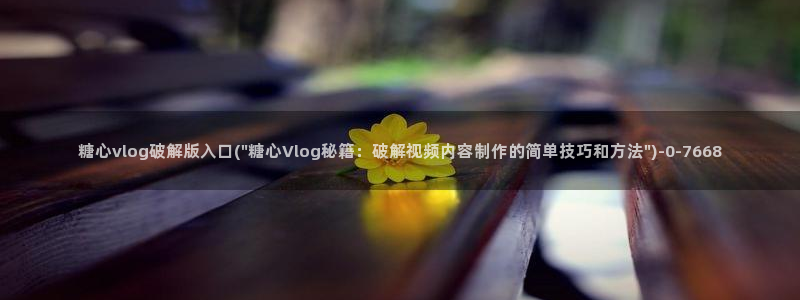 糖心心vlog