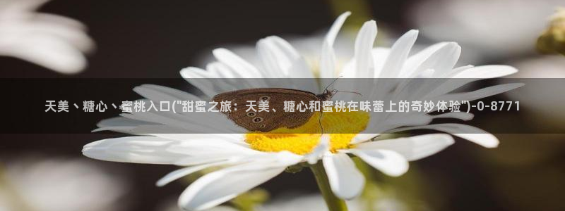 糖心vlog 在线观看