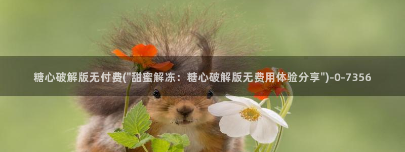 糖心vlog..
