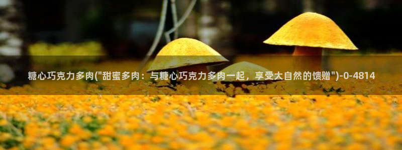 糖心vlog日常