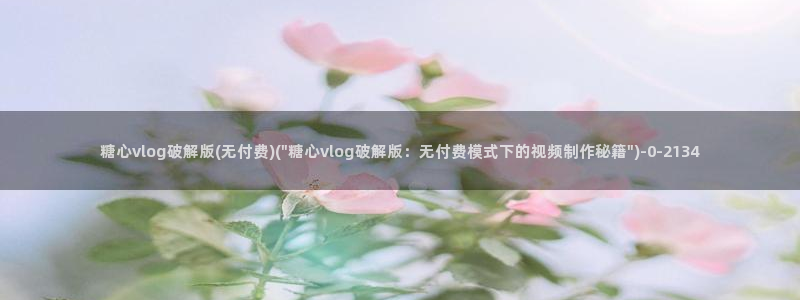 糖心vlog原创