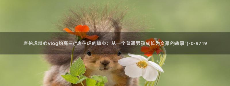  糖心vlog网站进入：唐伯虎糖心vlog约高三(\